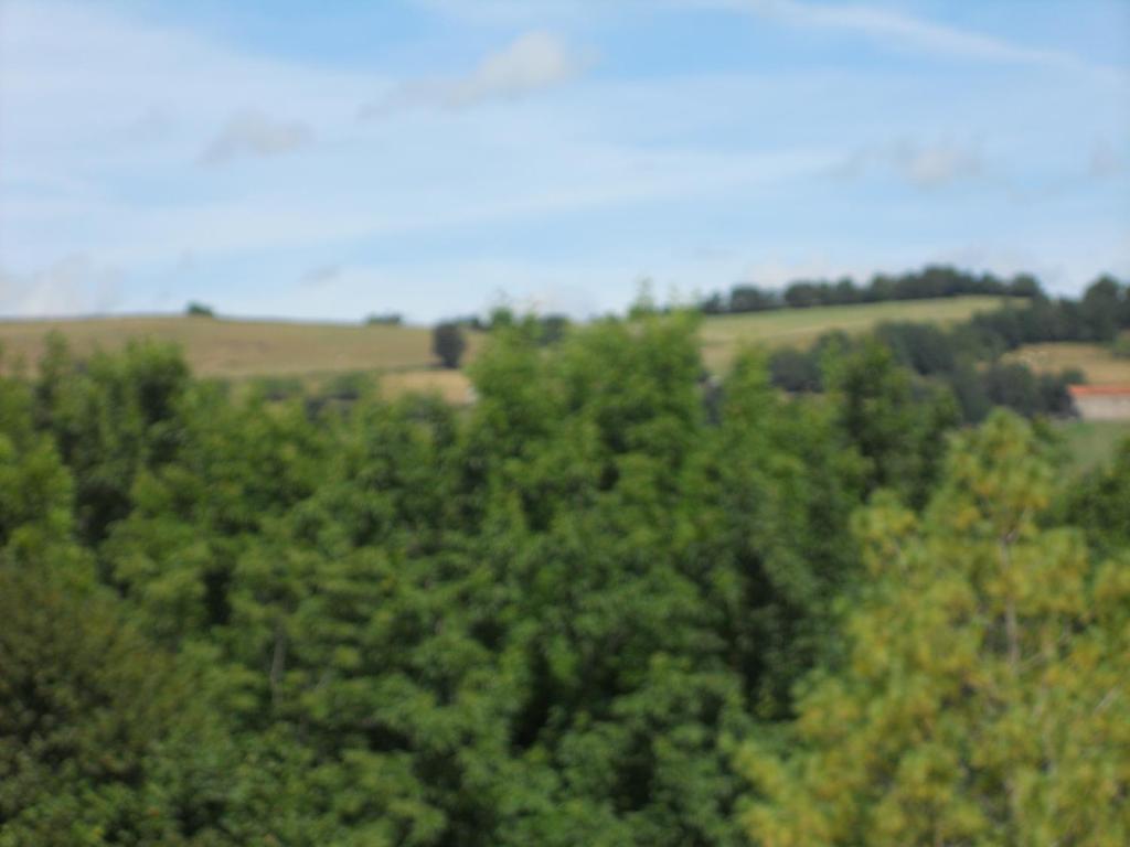 Château de la Moissetie Aurillac Chambre photo